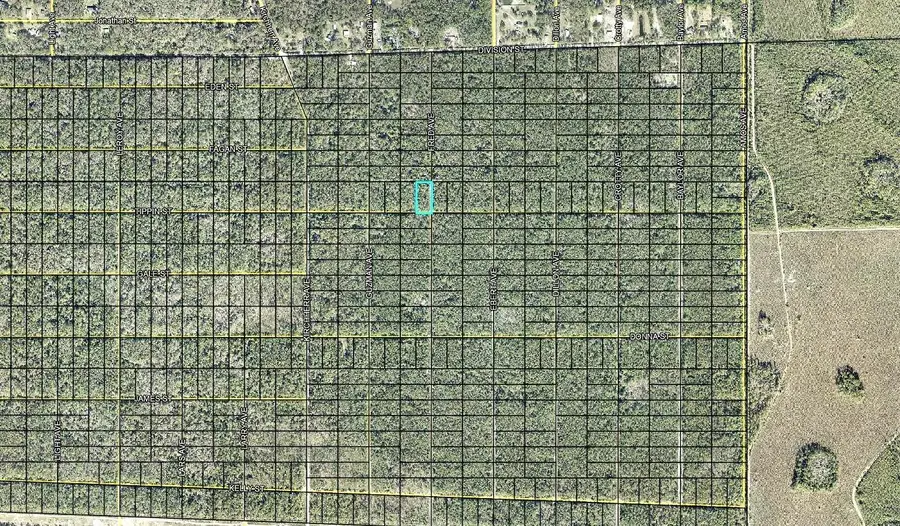 319 Tippin Street, Hastings, FL 32145 - #3