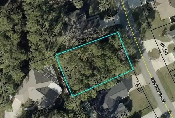 240 Wellington Drive, PALM COAST, FL 32164