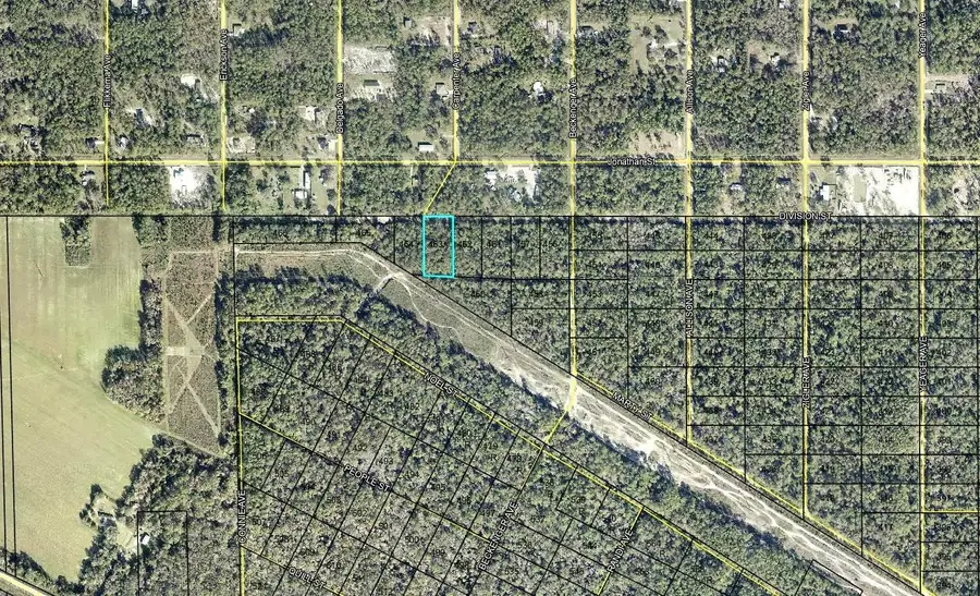 463 Division Street, Hastings, FL 32145 - #2