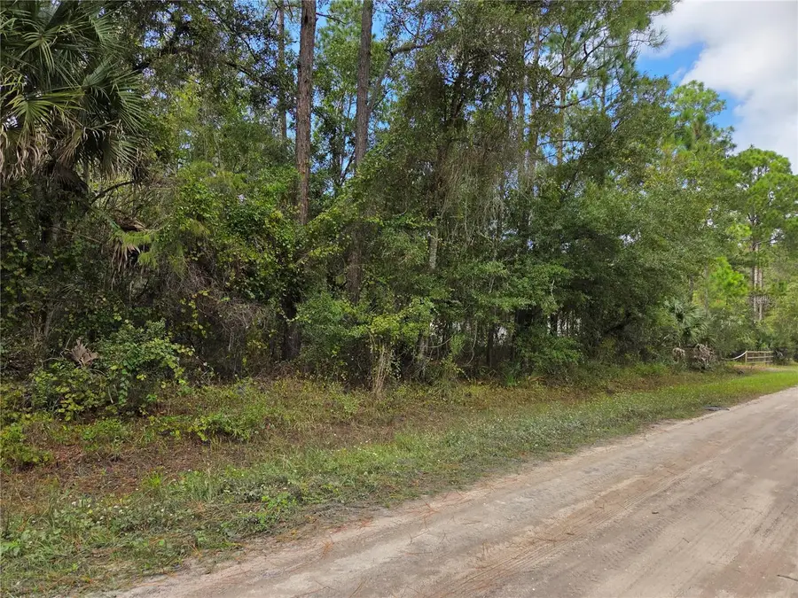 2096 Orange Street, Bunnell, FL 32110 - #3
