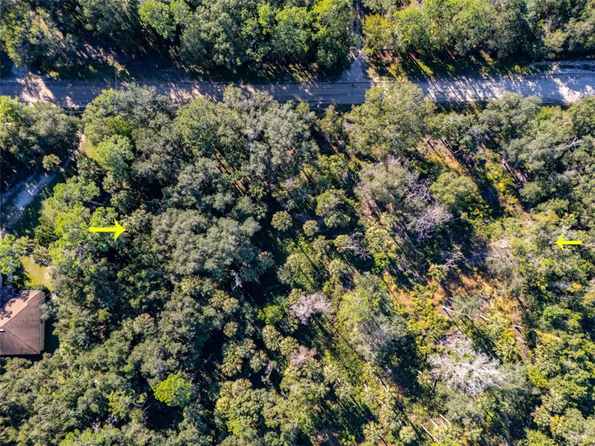 2107 Bayberry Street, Bunnell, FL 32110 - #1