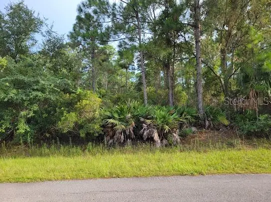 101 Mimosa Street, Georgetown, FL 32139 - #1