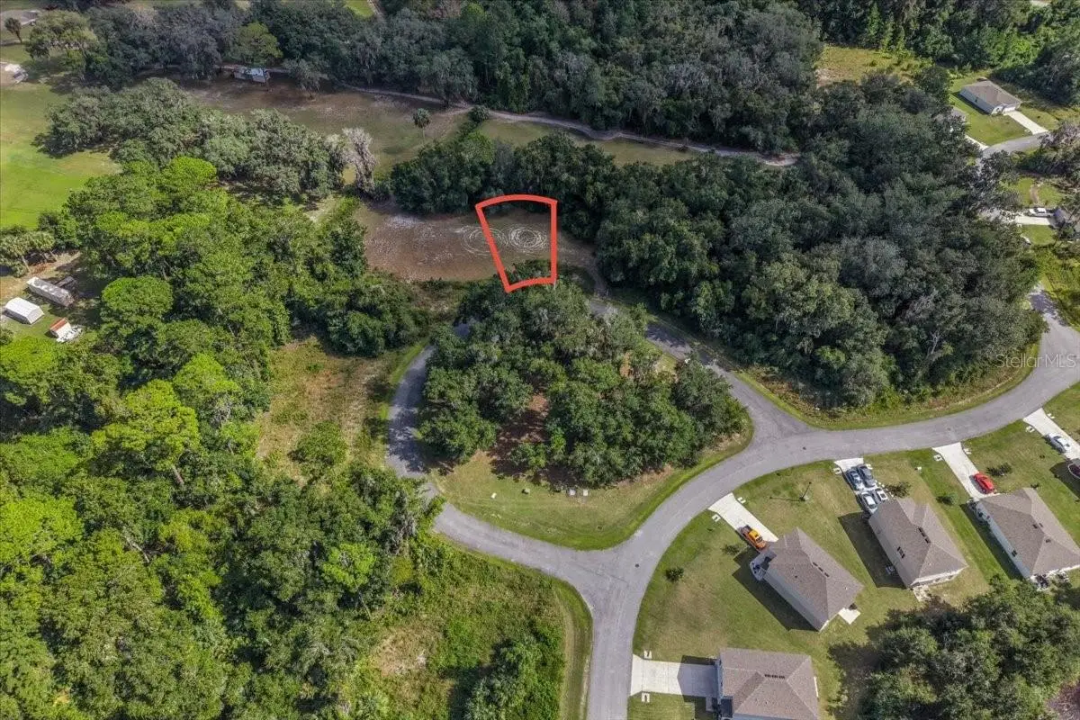 167 Live Oak Circle, Crescent City, FL 32112 - #1