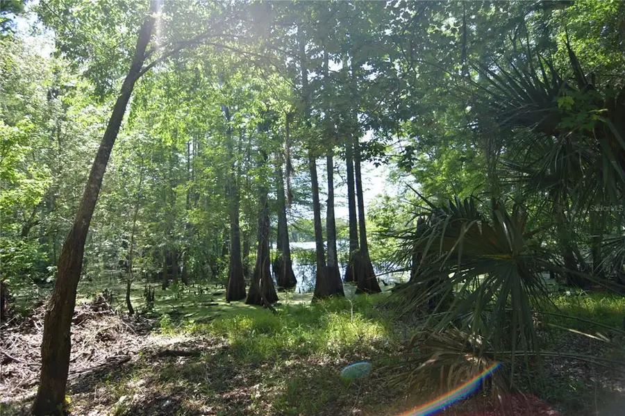 SW 64th Avenue, Bushnell, FL 33513 - Image #2