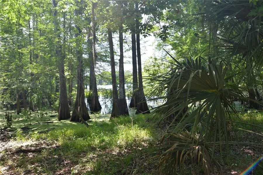 SW 64th Avenue, Bushnell, FL 33513 - Image #3