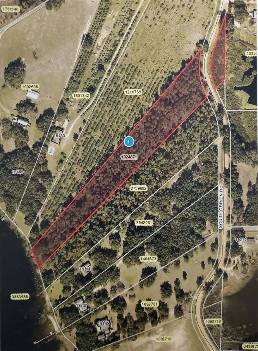 S Obrien Road, Groveland, FL 34736 - Image #2