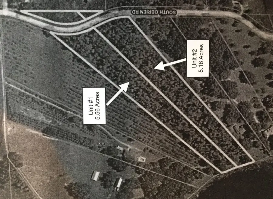 S Obrien Road, Groveland, FL 34736 - Image #3
