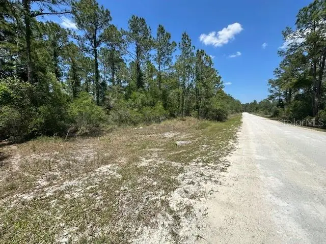 TBD Otter Drive #LOT 44, Webster, FL 33597 - Image #1