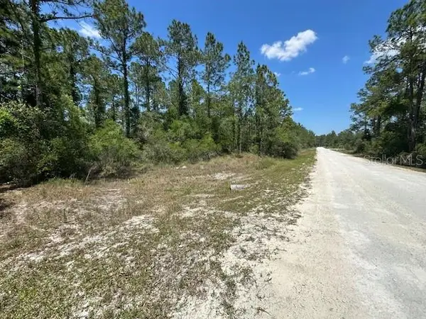TBD Otter Drive #LOT 44, WEBSTER, FL 33597