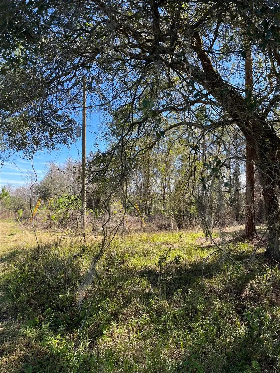 Mount Pleasant Road, Groveland, FL 34736 - Image #2