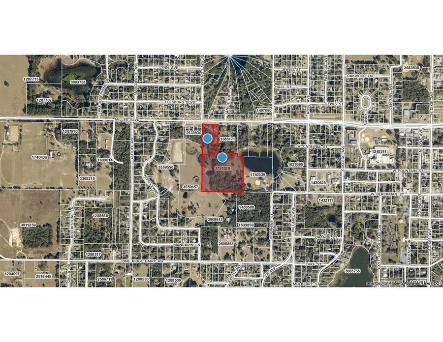 907 W Miller Street, Fruitland Park, FL 34731 - Image #3