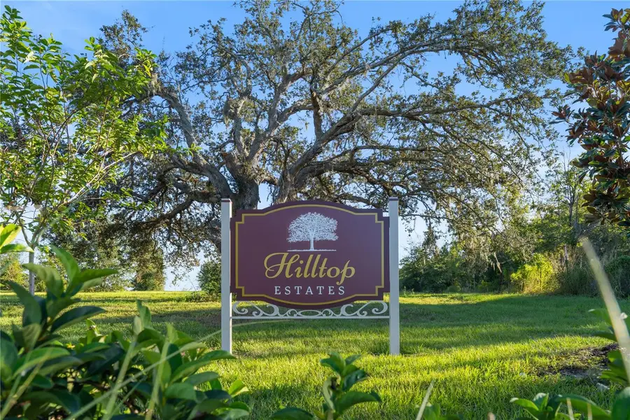 5513 Panoramic View Drive, Apopka, FL 32712 - #3