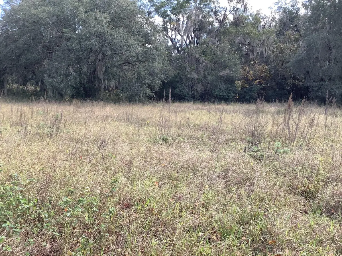 13434 Maryland Avenue, Astatula, FL 34705 - #1