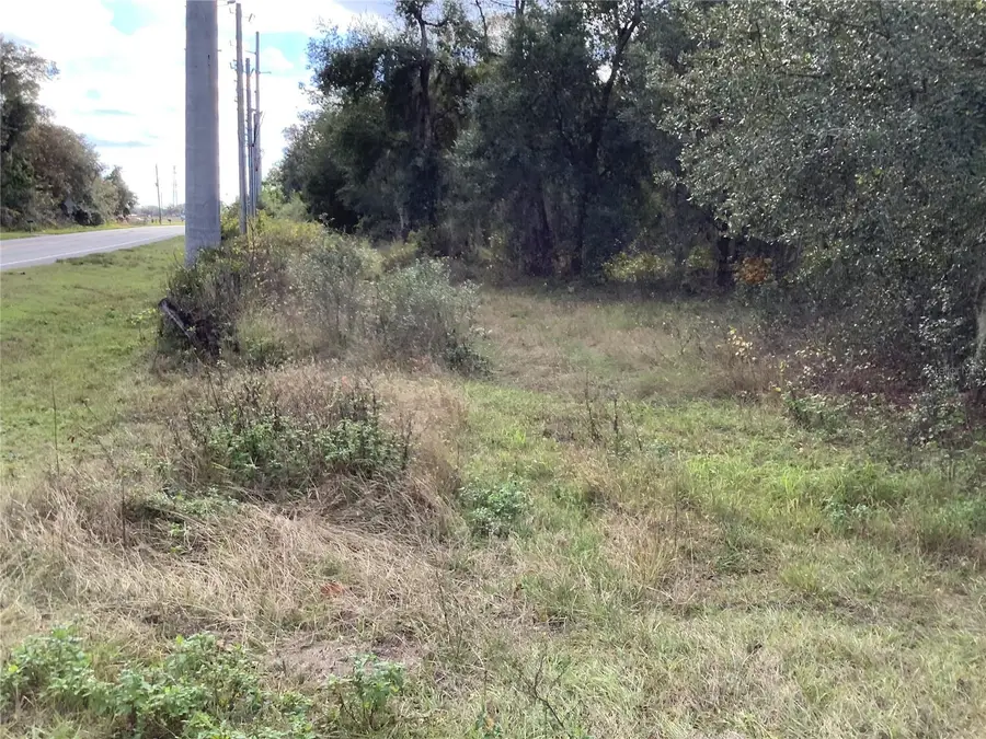 13434 Maryland Avenue, Astatula, FL 34705 - #2