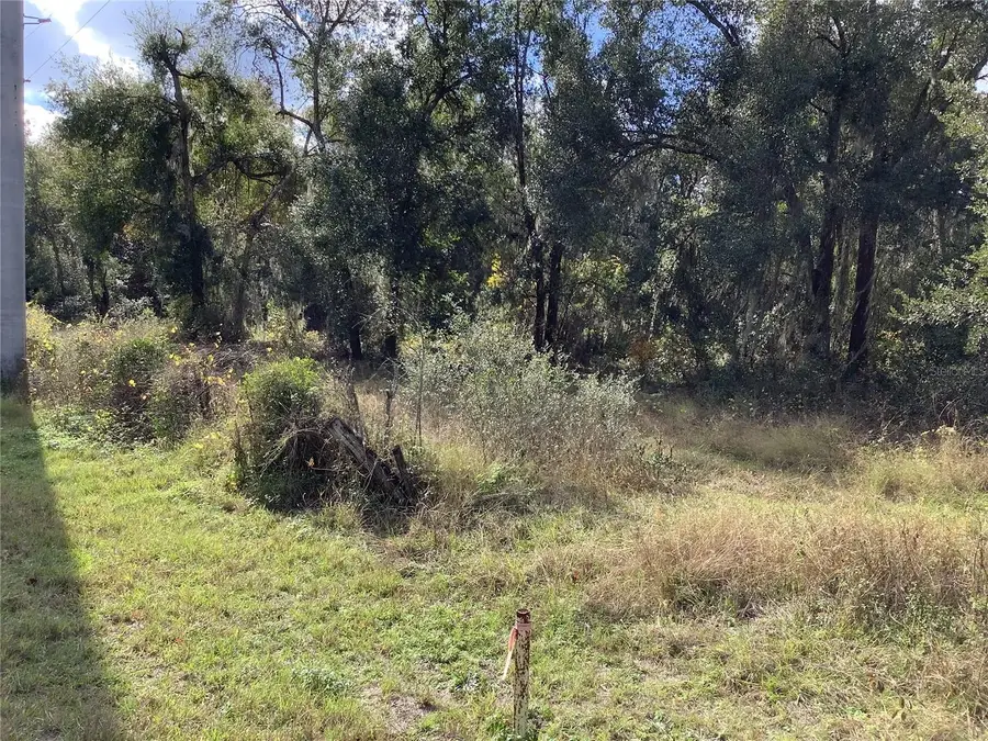 13434 Maryland Avenue, Astatula, FL 34705 - #3