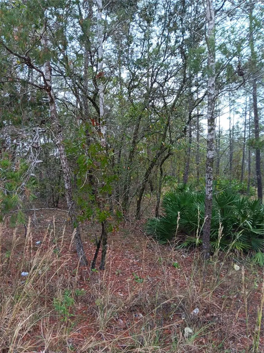 5144 W Osmond Lane, Dunnellon, FL 34433 - Image #2