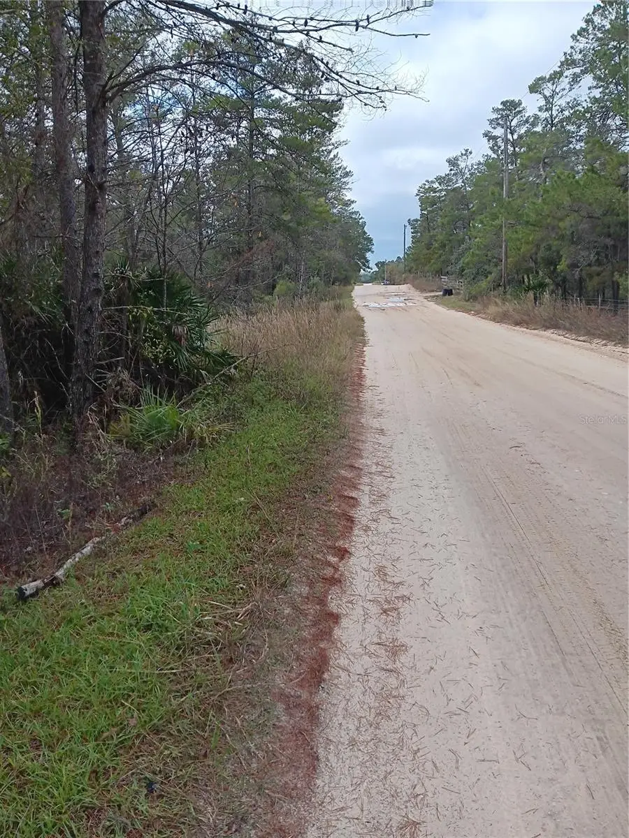 5144 W Osmond Lane, Dunnellon, FL 34433 - Image #3