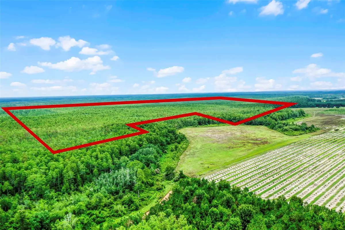 S Boggy Marsh Road, Clermont, FL 34711 - Image #1