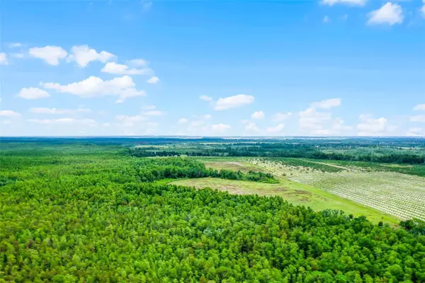 S Boggy Marsh Road, CLERMONT, FL 34711