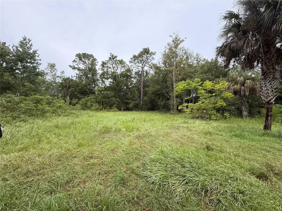 7435 W Lincoln Lane, Homosassa, FL 34448 - Image #1