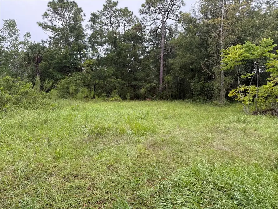 7435 W Lincoln Lane, Homosassa, FL 34448 - Image #2