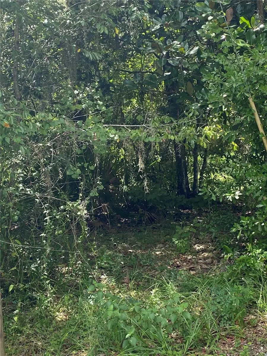 Cr 448c, Lake Panasoffkee, FL 33538 - Image #2