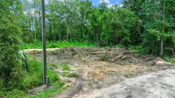 16535 SE 100th Place, OCKLAWAHA, FL 32179