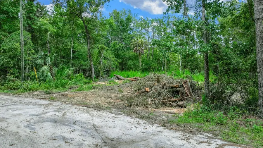 16535 SE 100th Place, Ocklawaha, FL 32179 - Image #2