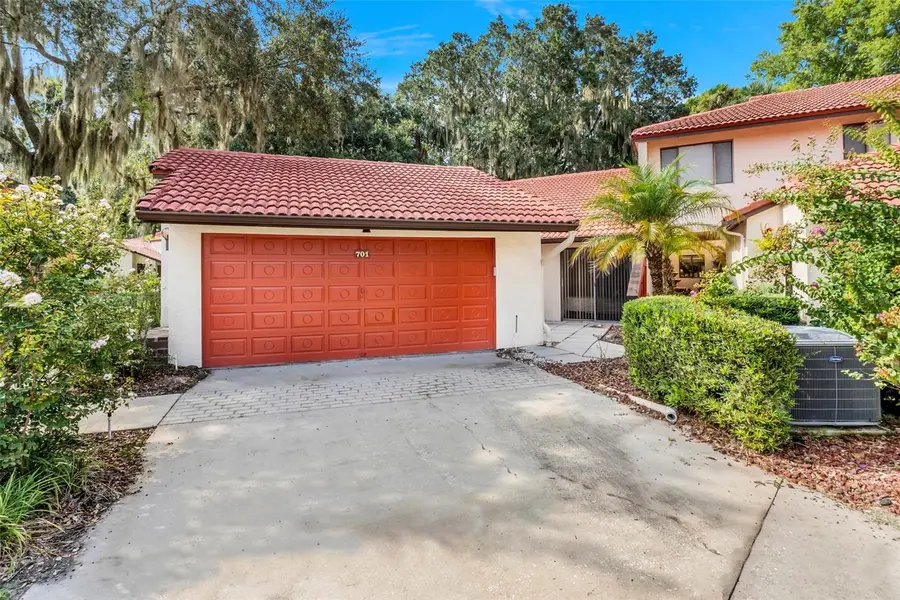 701 Clusterwood Drive, Yalaha, FL 34797 - Image #2