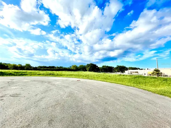 729 N 14th Street, LEESBURG, FL 34748