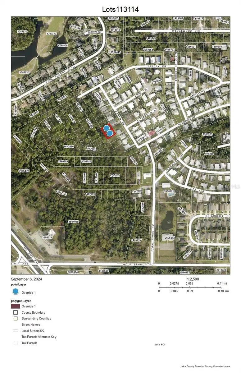 Lots 113 & 114 Karen Drive, Mount Dora, FL 32757 - Image #1