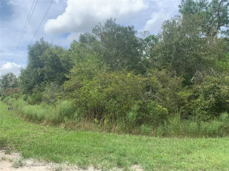 Chipstone Street, Webster, FL 33597 - Image #3