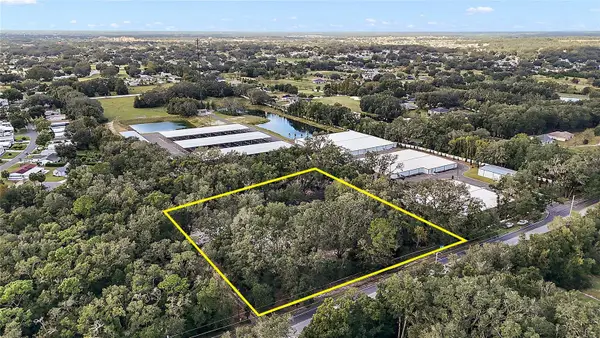 41015 County Road 25, WEIRSDALE, FL 32195
