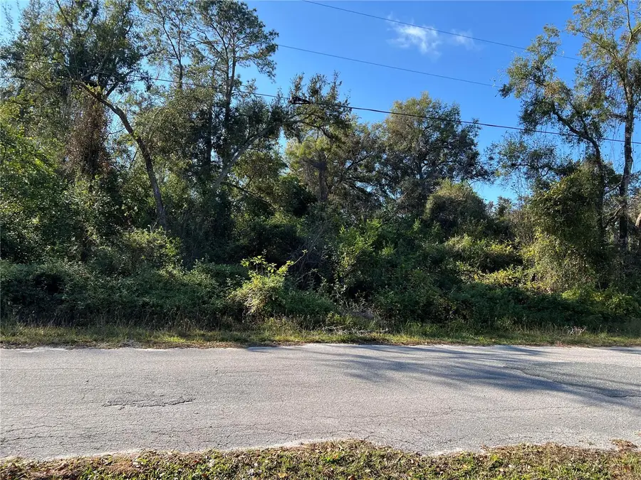 Cr 690, Webster, FL 33597 - Image #2