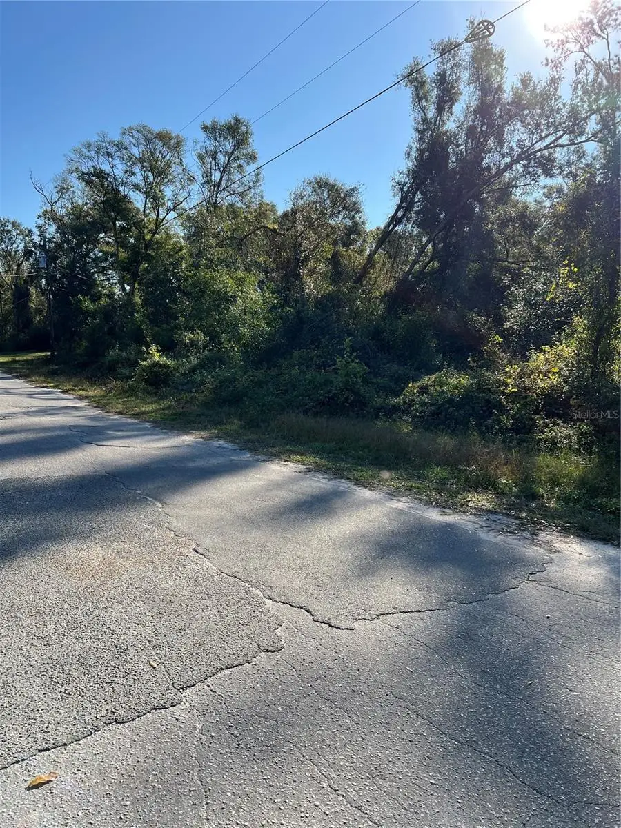 Cr 690, Webster, FL 33597 - Image #3