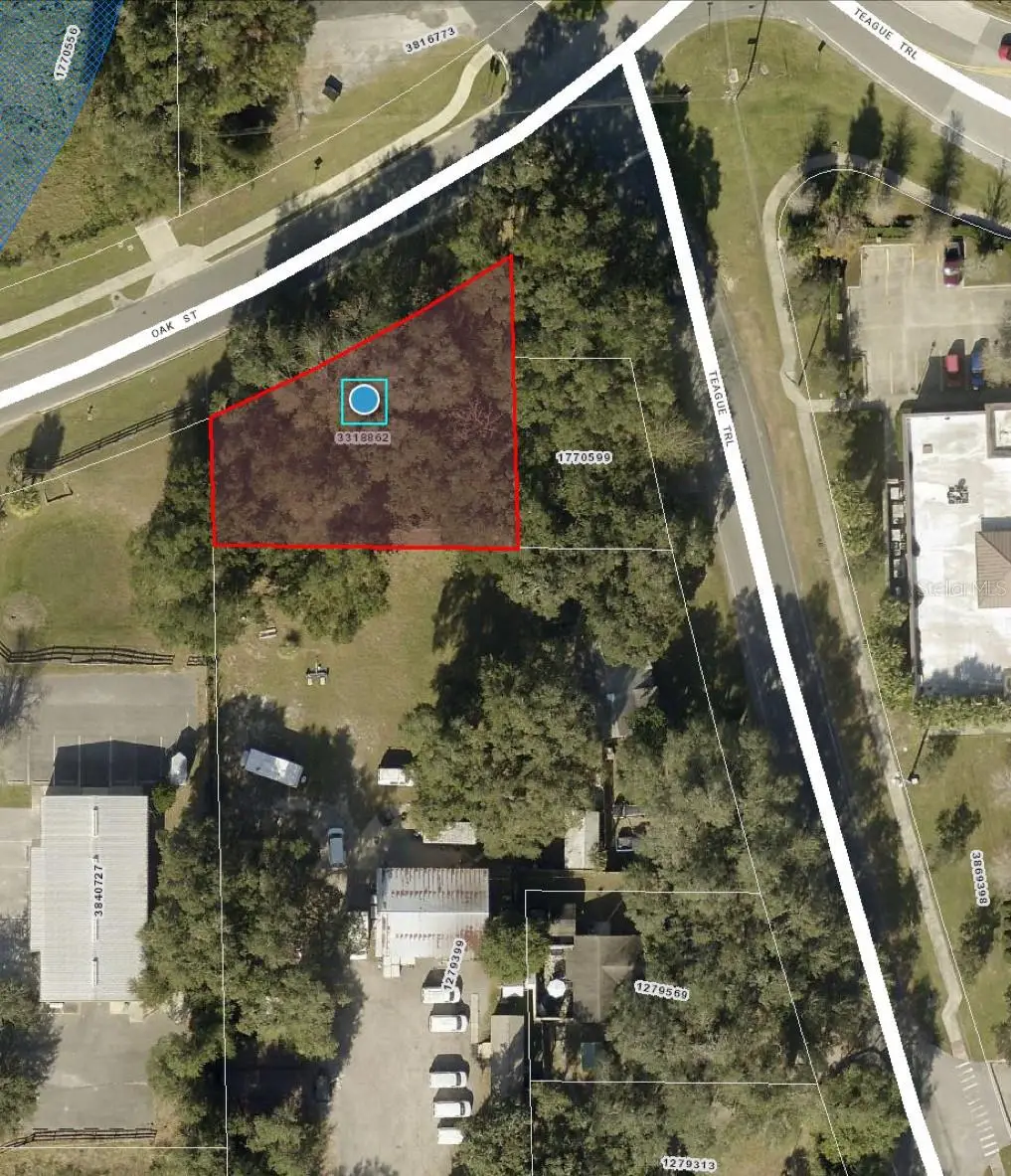 Oak Street, Lady Lake, FL 32159 - Image #1