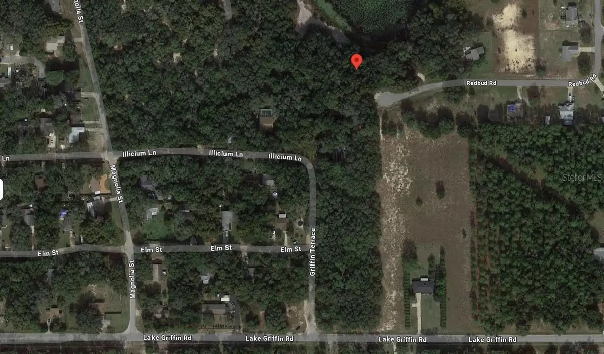 TBD Redbud Road, Lady Lake, FL 32159 - Image #1