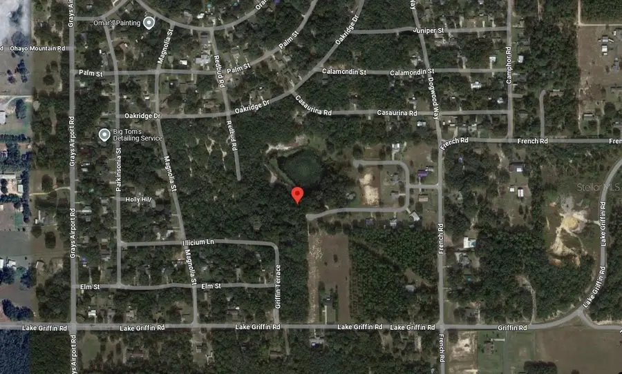 TBD Redbud Road, Lady Lake, FL 32159 - Image #3