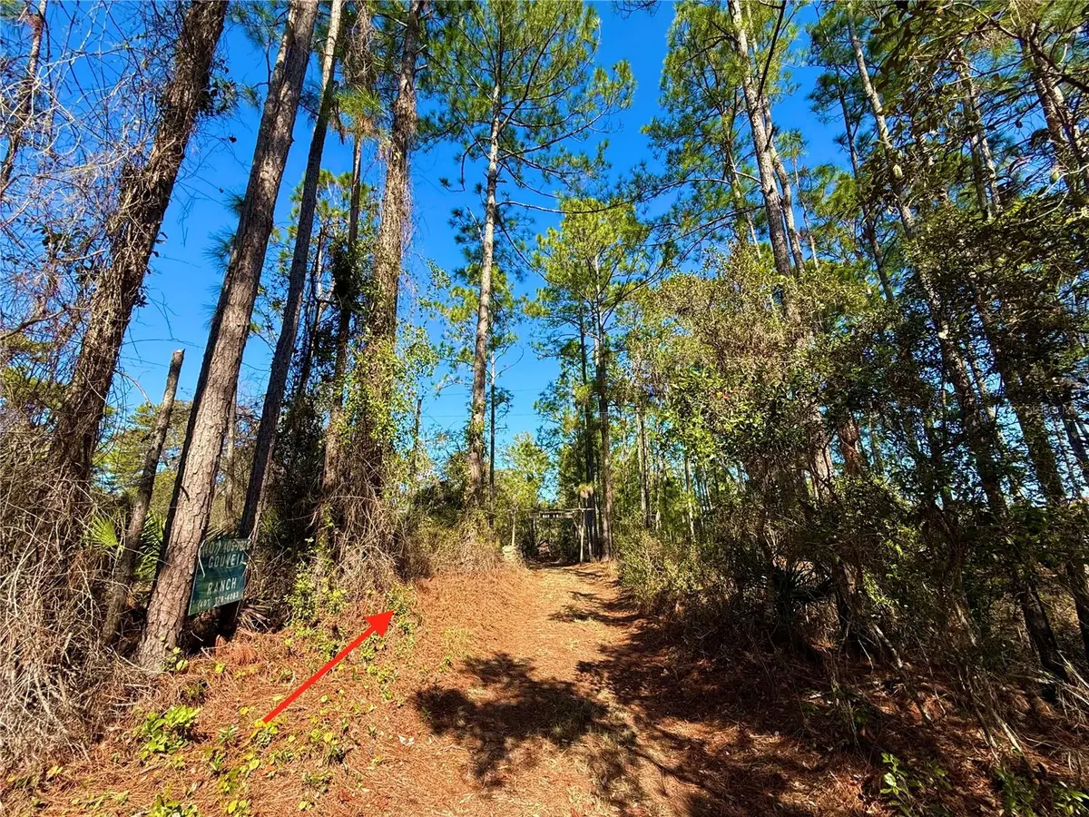 40001 Maggie Jones Road, Paisley, FL 32767 - Image #1