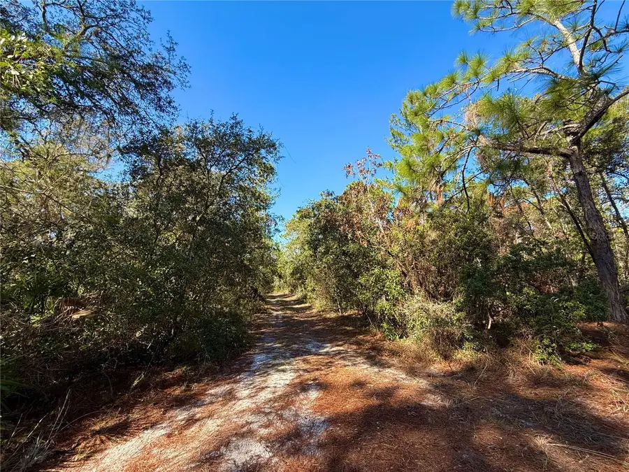 40001 Maggie Jones Road, Paisley, FL 32767 - Image #3