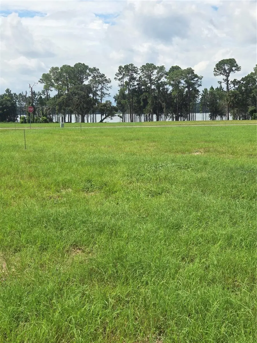 38401 Wooded Meadow Drive, Umatilla, FL 32784 - Image #1