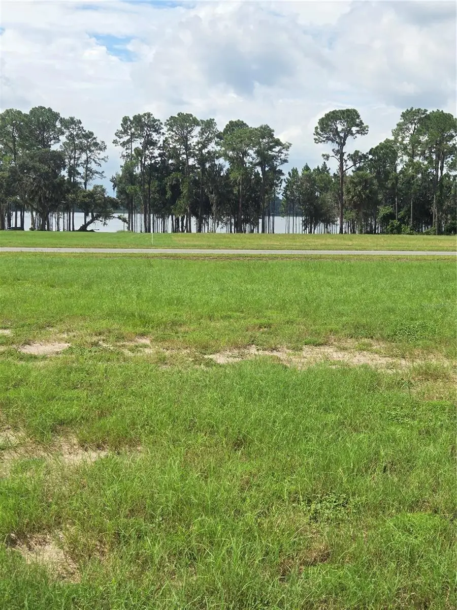 38401 Wooded Meadow Drive, Umatilla, FL 32784 - Image #2