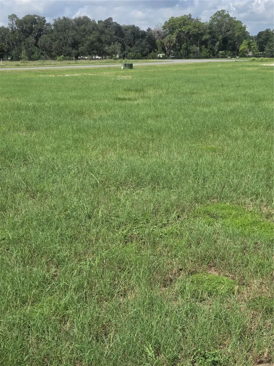 38401 Wooded Meadow Drive, Umatilla, FL 32784 - Image #3