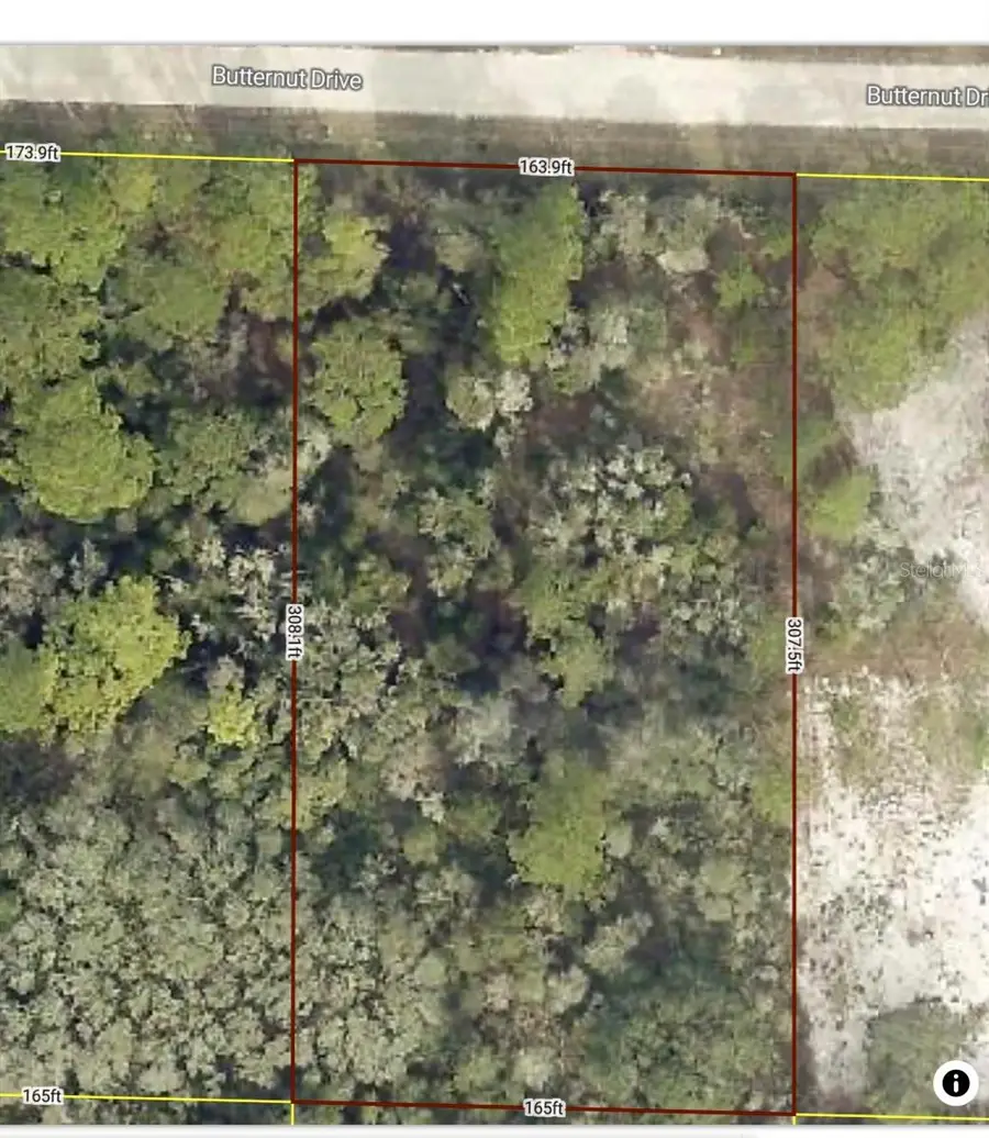 Butternut Drive, Webster, FL 33597 - Image #2
