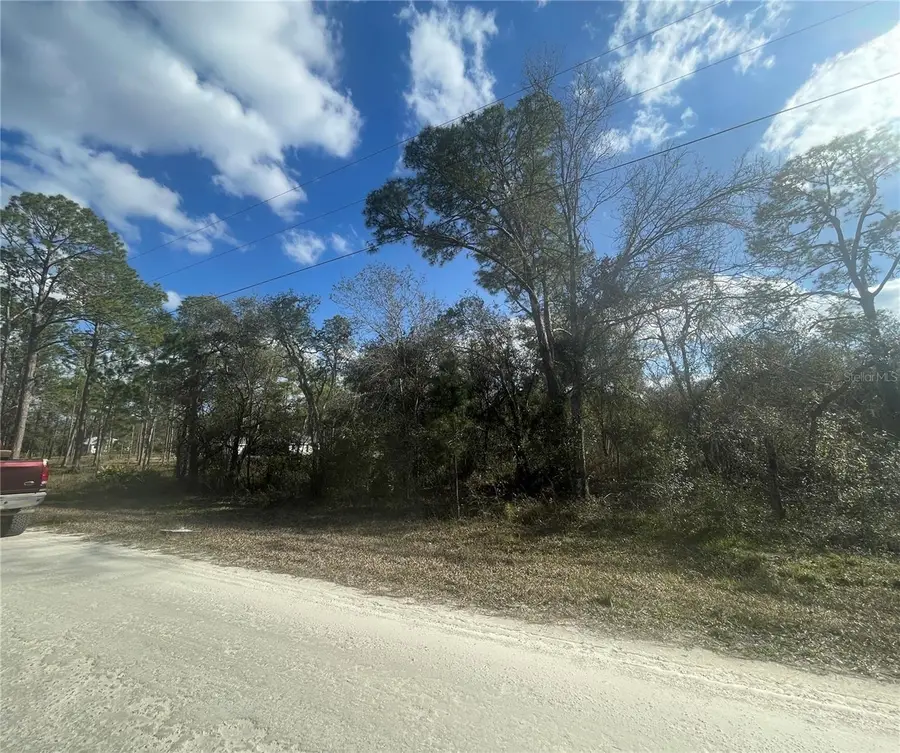 Butternut Drive, Webster, FL 33597 - Image #3