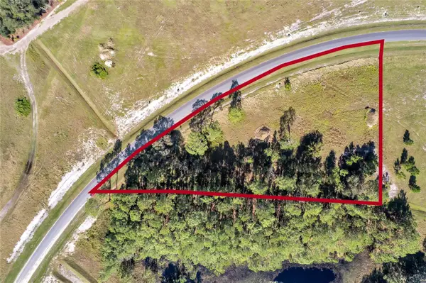 38514 Wooded Meadow Drive, UMATILLA, FL 32784