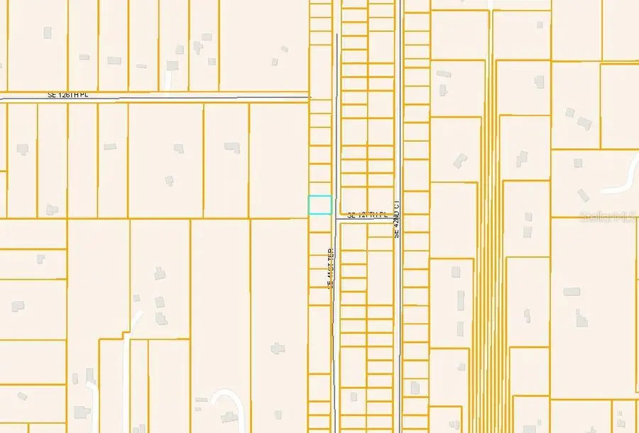 SE 41st Terrace, Belleview, FL 34420 - Image #3