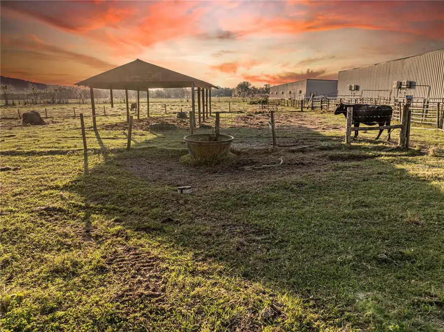 Cr 523, Wildwood, FL 34785 - Image #2