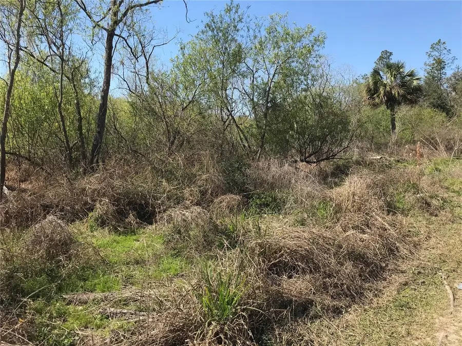 8908 W Candleglow Street, Crystal River, FL 34428 - Image #3