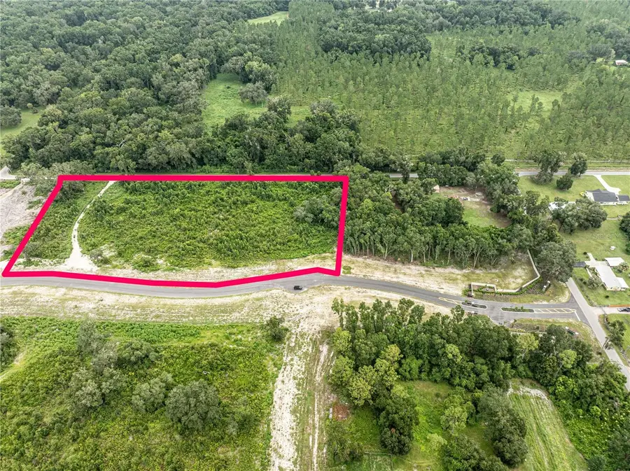 1480 Oxford Preserve Trl, Oxford, FL 34484 - Image #2